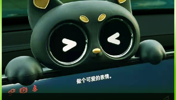 活动 (6)